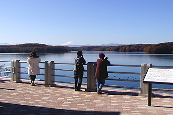 狭山湖の眺め