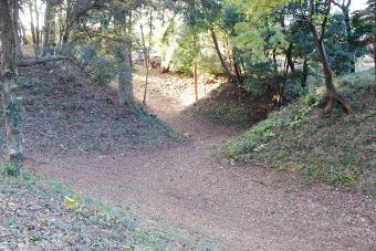 滝の城跡の土塁と堀の写真