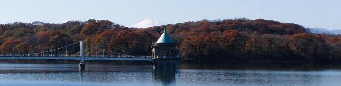 所沢市ロケーションサービス