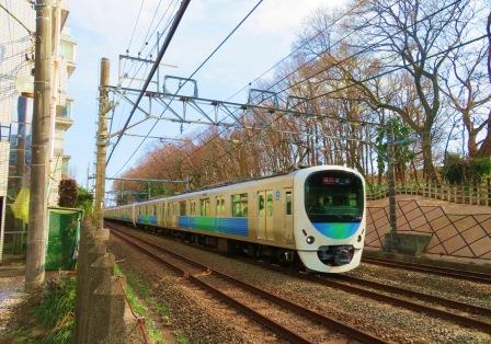 電車と斜面林の写真