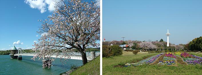 狭山湖、航空公園の写真