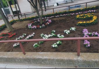 花と緑のオアシスづくり花園愛好会の写真2