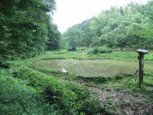 北野南二丁目里山保全地域（田んぼ）の写真