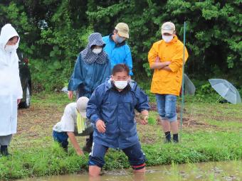 田植え作業の様子の写真